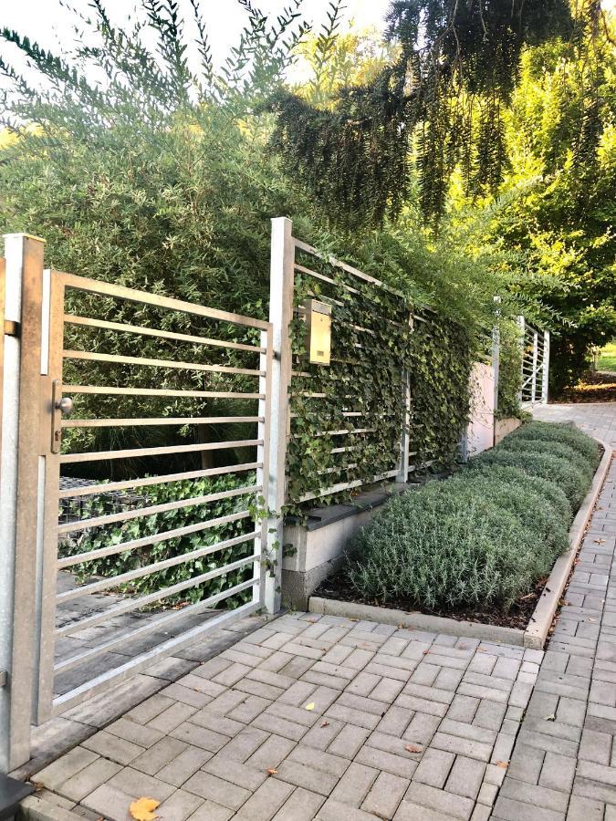 Apartmany Benesov Benesov nad Ploucnici 外观 照片